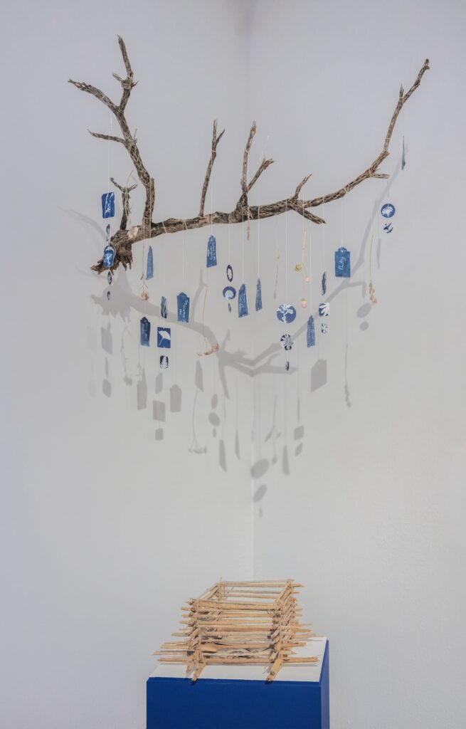 Blue and white charms hanging from a dried cholla branch.