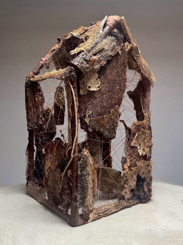 A little shelter made out of cactus fibers, thread and nylons.